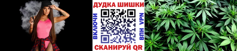 Бошки марихуана Amnesia Алушта